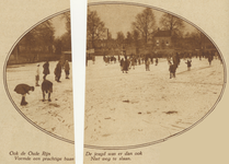 872440 Afbeelding van een grote groep schaatsende mensen op de Leidsche Rijn te Utrecht, ter hoogte van Park Oog in Al ...